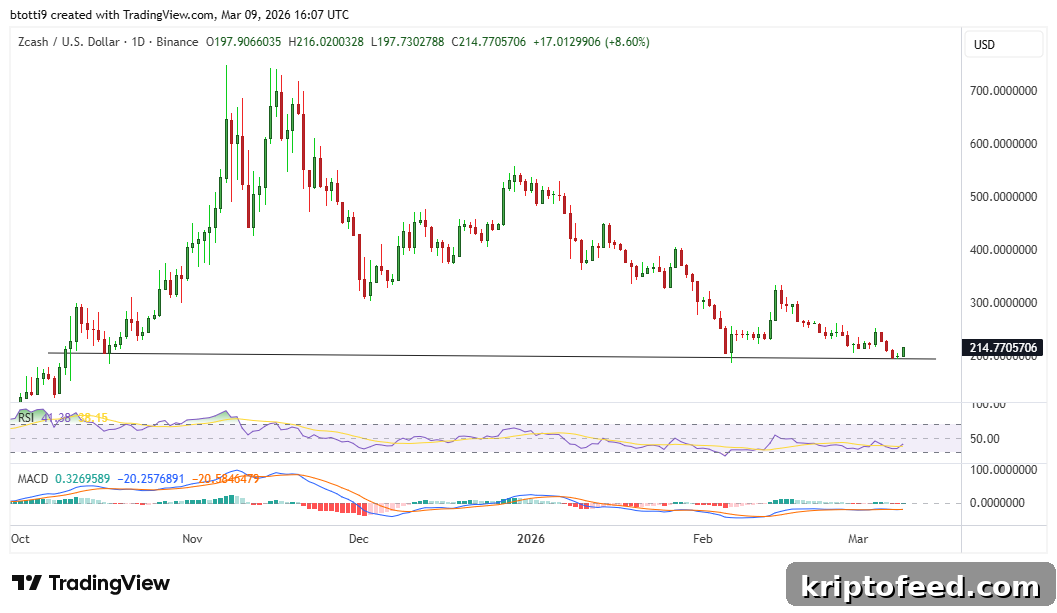 Zcash Price Forecast: Can ZEC Sustain Gains Above $200? 2 Zcash Chart