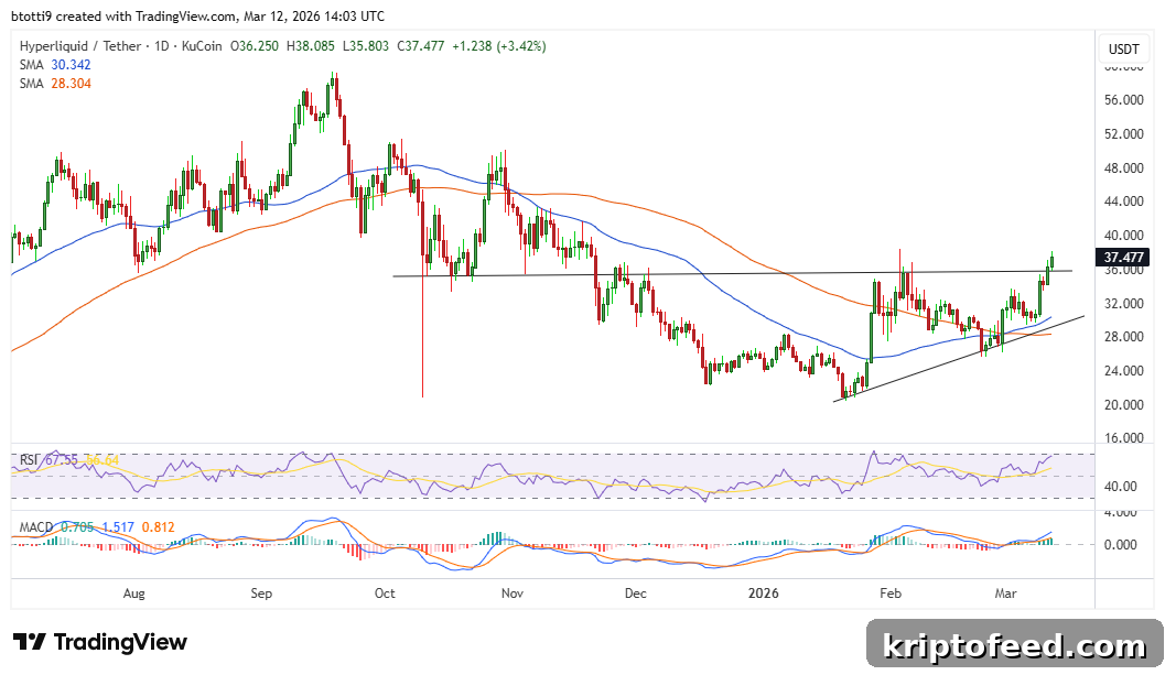 Hyperliquid (HYPE) Price Forecast: Will It Reach a New ATH After $38 Break? 2 Hyperliquid Price Chart