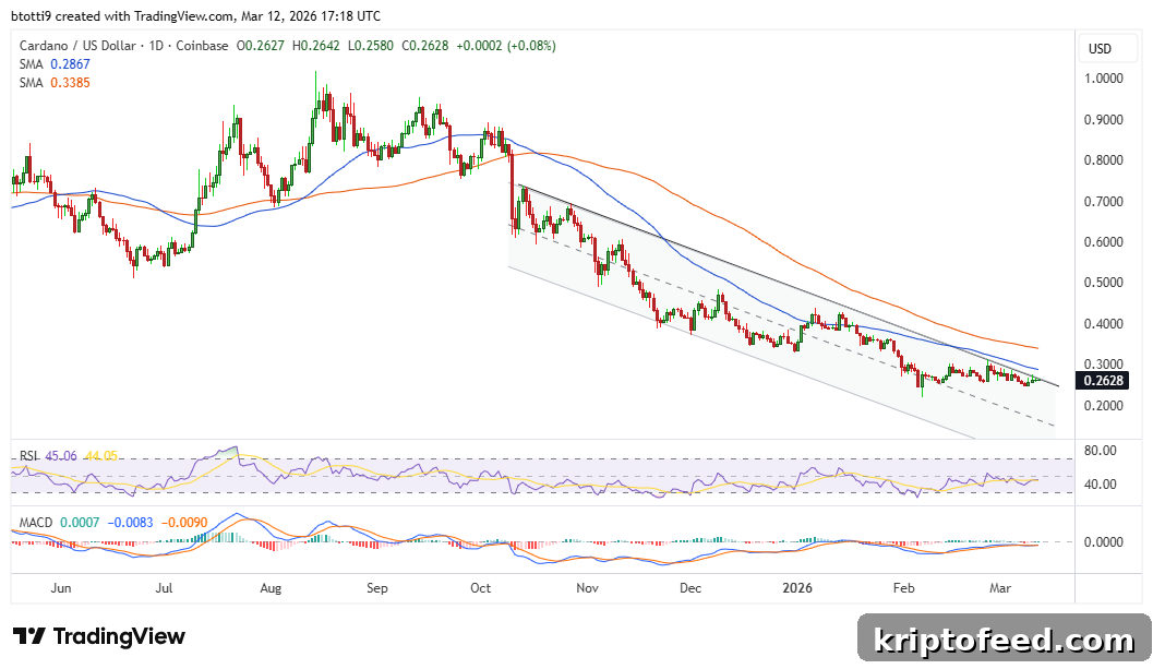 Cardano Price Forecast: What Falling Open Interest Means for ADA 2 Cardano ADA Price Chart