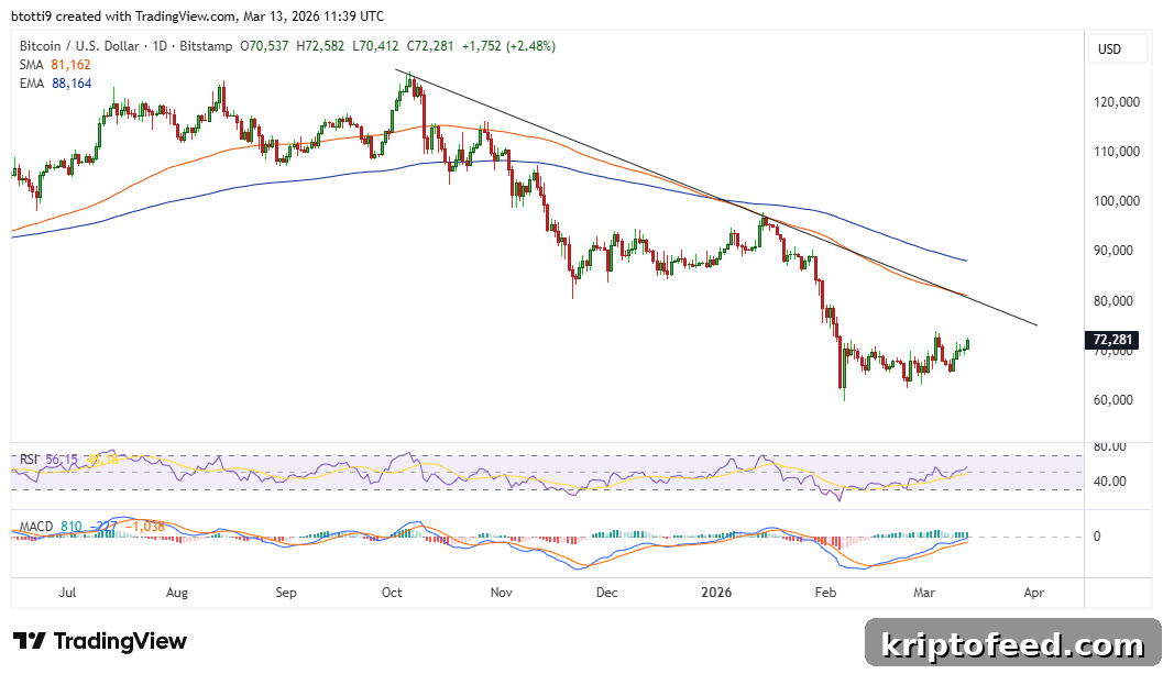 Bitcoin Price Chart