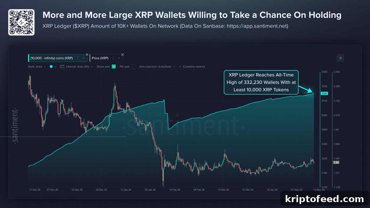 XRP Price Forecast: Whales Bet on a Strong Bounce 2 XRP Price And Wallet Chart