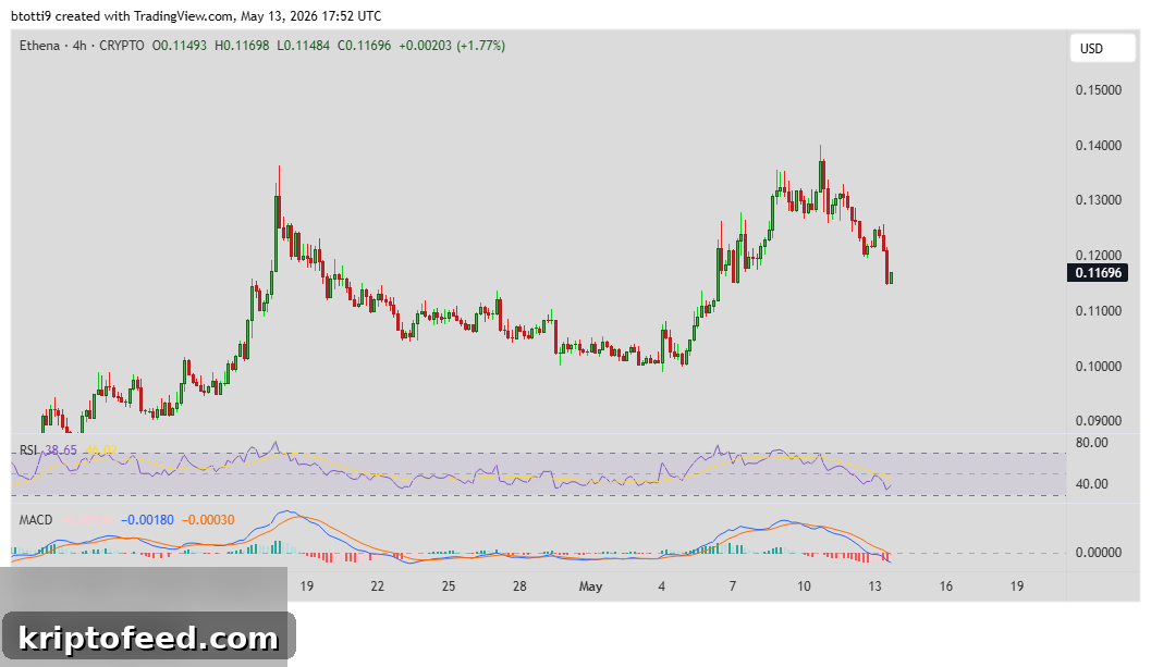 Ethena (ENA) Price Drops Despite Surge in Whale Activity 2 Ethena ENA Chart