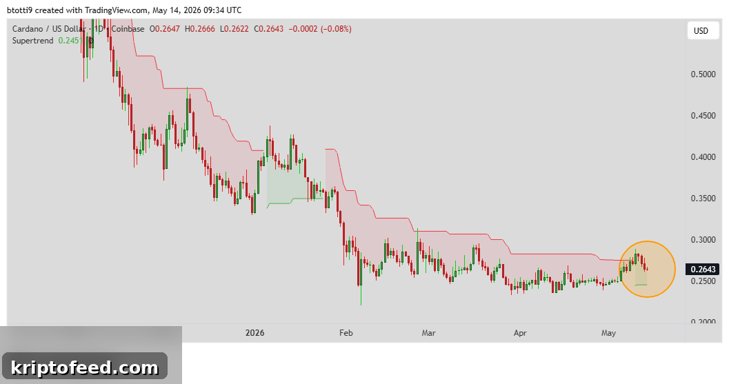 Cardano Price Forecast: Will ADA Hit $0.40 After New Buy Signal? 2 Cardano Price Chart