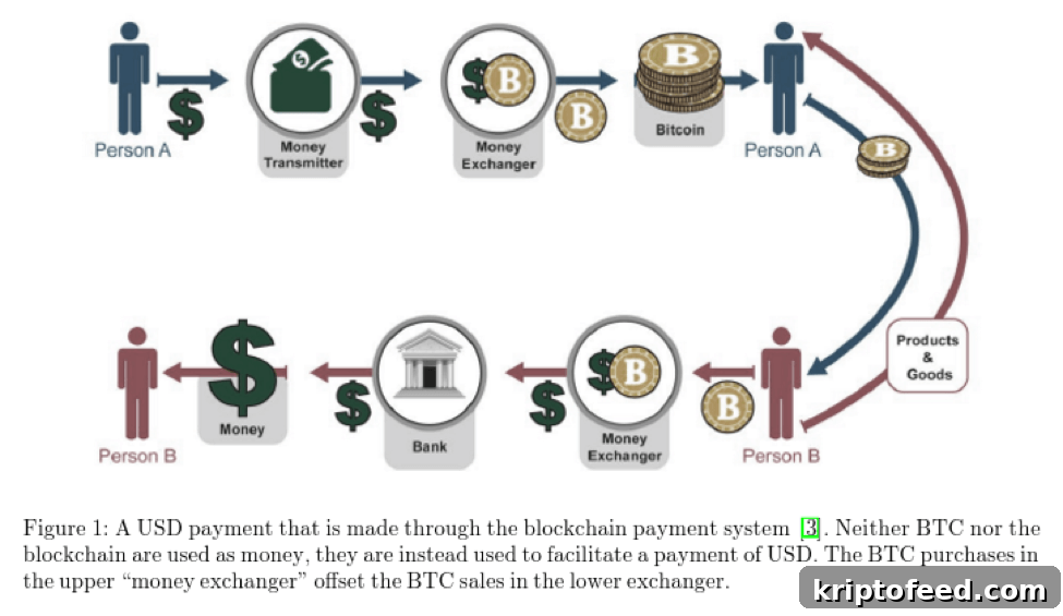 Bitcoin Intrinsic Value