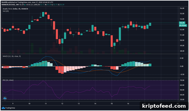 Altcoin Market Analysis: Bitcoin Cash, Ethereum Classic & Zcash Trends 3 img 66438 2