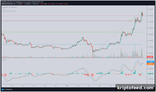 Cardano Price Dips Following Shelley Upgrade Launch 3 img 66885 2