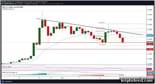 SEC May Sue Ripple — XRP Falls to $0.48 2 img 68398 1