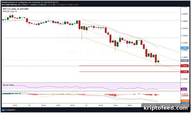 SEC May Sue Ripple — XRP Falls to $0.48 3 img 68398 2