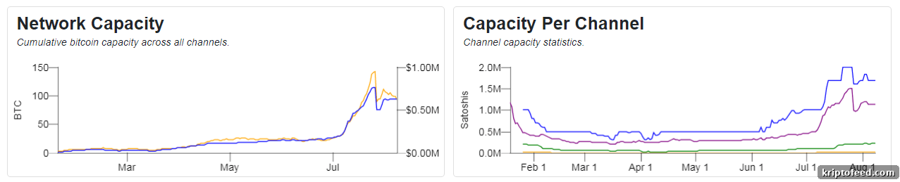 Bitcoin Lightning Network Reaches 3,000 Nodes and 100 BTC Capacity 3 network capacity