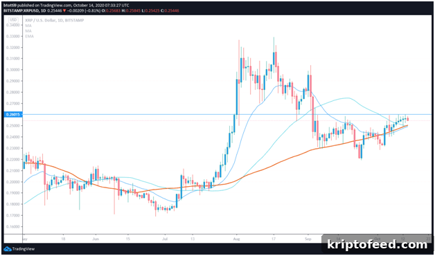 XRP Rally Continues Ahead of Swell Conference 2 img 87972 1