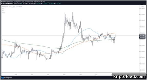 XRP Holds Weak at $0.255 Despite Bullish Breakout 2 img 88209 1