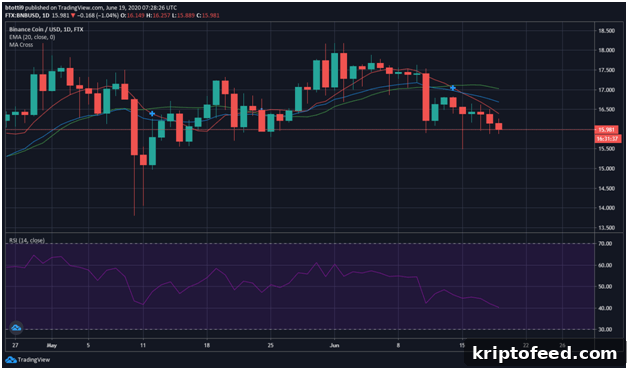 Tron, Bitcoin SV & Binance Coin Price Analysis and Forecasts 3 BNB/USD price daily chart